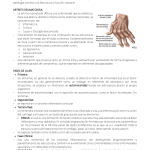 Artritis reumatoide: Descripción, etapas y opciones de tratamiento médico y fisioterapéutico.