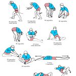 Descubre 6 ejercicios de estiramiento para hacer después de hacer deporte.