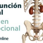 posibles afecciones musculoesqueleticas relacionadas con la disfuncion renal