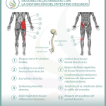posibles trastornos musculoesqueleticos asociados a la disfuncion del intestino delgado