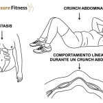 ¿Qué es la separación de los músculos abdominales y cómo puedo corregirla?