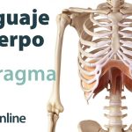relacion entre el diafragma el lenguaje y el cuerpo